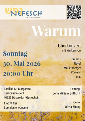 Plakat des Konzerts „Warum“ in Düsseldorf